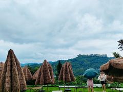 -桃源山庄·水蜜桃采摘·柴火鸡·烧烤团建(龙泉山店)