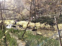 -茅兰沟国家森林公园