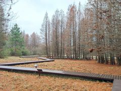 -溱湖国家湿地公园