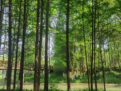 -桤木河湿地公园