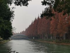 -蜀绣公园