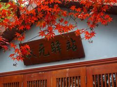 -天目湖山水园