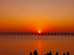 -宝安西湾红树林湿地公园