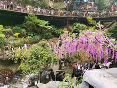 -古龙峡云天玻霸