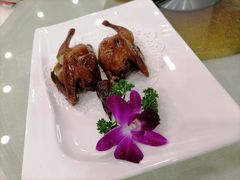 红烧中鸽-三辣馆