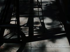 -常识咖啡common sense(春熙路店)