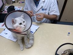 -宠颐生宠物医院外科·内科·皮肤科·影像科(石龙店)