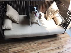 -上海崇明金茂凯悦酒店