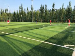 -中关村软件园智云足球场