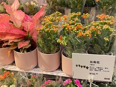 -IKEA宜家家居(南京商场)