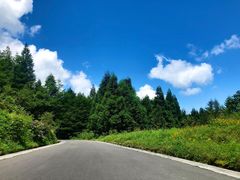-山王坪喀斯特国家生态公园