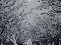 -理想国摄影(三塔店)