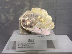 -湖南省地质博物馆