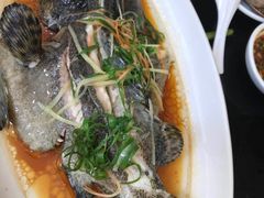-刘记糟粕醋海鲜烧烤
