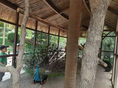 -南宫五洲植物乐园