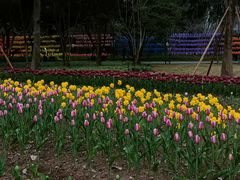 -重庆动物园·东二门售票处