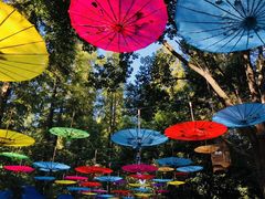 -崇明东平国家森林公园烧烤房车露营地