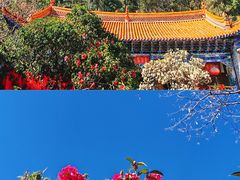 -寂照庵
