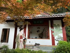 -十八棵（老龙井）御茶园(老龙井店)