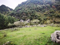 -狮子沟牧场