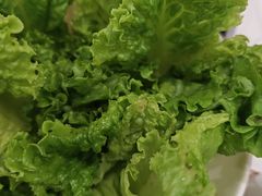 -草原传奇鲜羊火锅(桥北店)