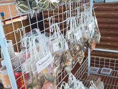 -蓝湾碧波·老字号·疍家非遗海上餐厅