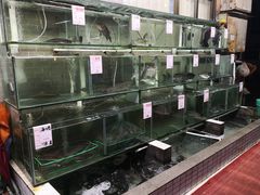 -祈胜邨•顺德鱼生•顺德菜(容桂店)