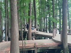 -东湖落雁景区