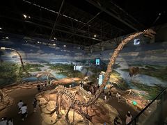 -自贡恐龙博物馆