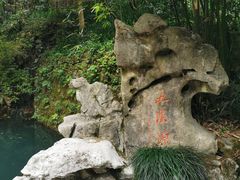 -十八棵（老龙井）御茶园(老龙井店)