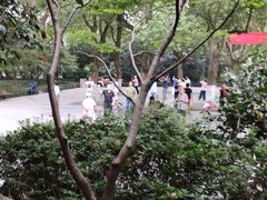 -杭州黄龙洞