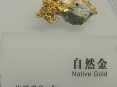 -湖南省地质博物馆