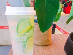 -1828王老吉·草本新茶(珠江新城地铁站店)