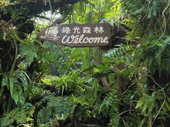 -绿光森林餐厅