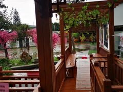 -麦园农庄·西江河鲜