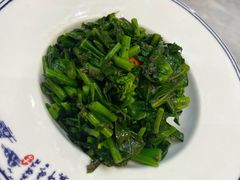 黑松露酱拌板蓝根苗-玉华台饭庄·淮扬菜·烤鸭(望京店)