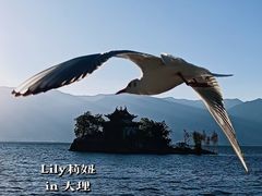 -小普陀