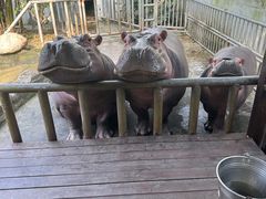 -宁波野生动物园