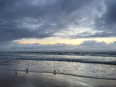 -黄金海岸