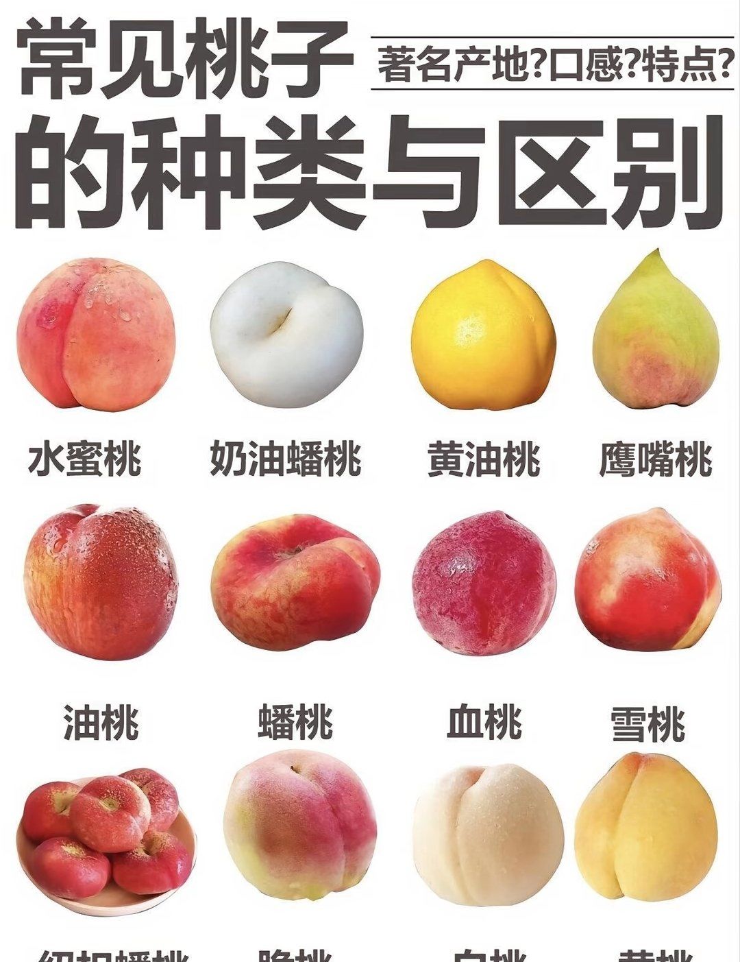 常见桃子的种类和区别🍑