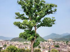 景点-前童古镇
