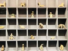 -四川大学博物馆