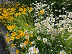 -山东大学(兴隆山校区)