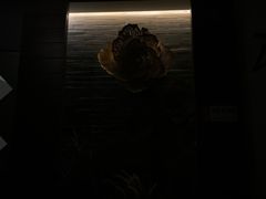 -Dragonfly 悠庭·按摩Spa(苏州中心广场店)