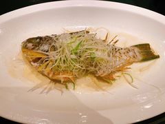 -三号黄浦会Canton Table