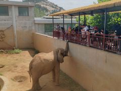 -西霞口神雕山野生动物世界