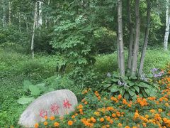 -黑龙江省森林植物园