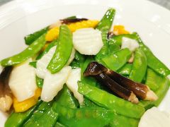 -雀蓝川菜(奥体广场店)