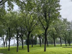 -汉长安城未央宫国家考古遗址公园