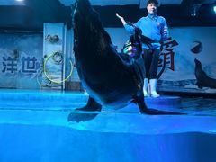 -邯郸海洋世界